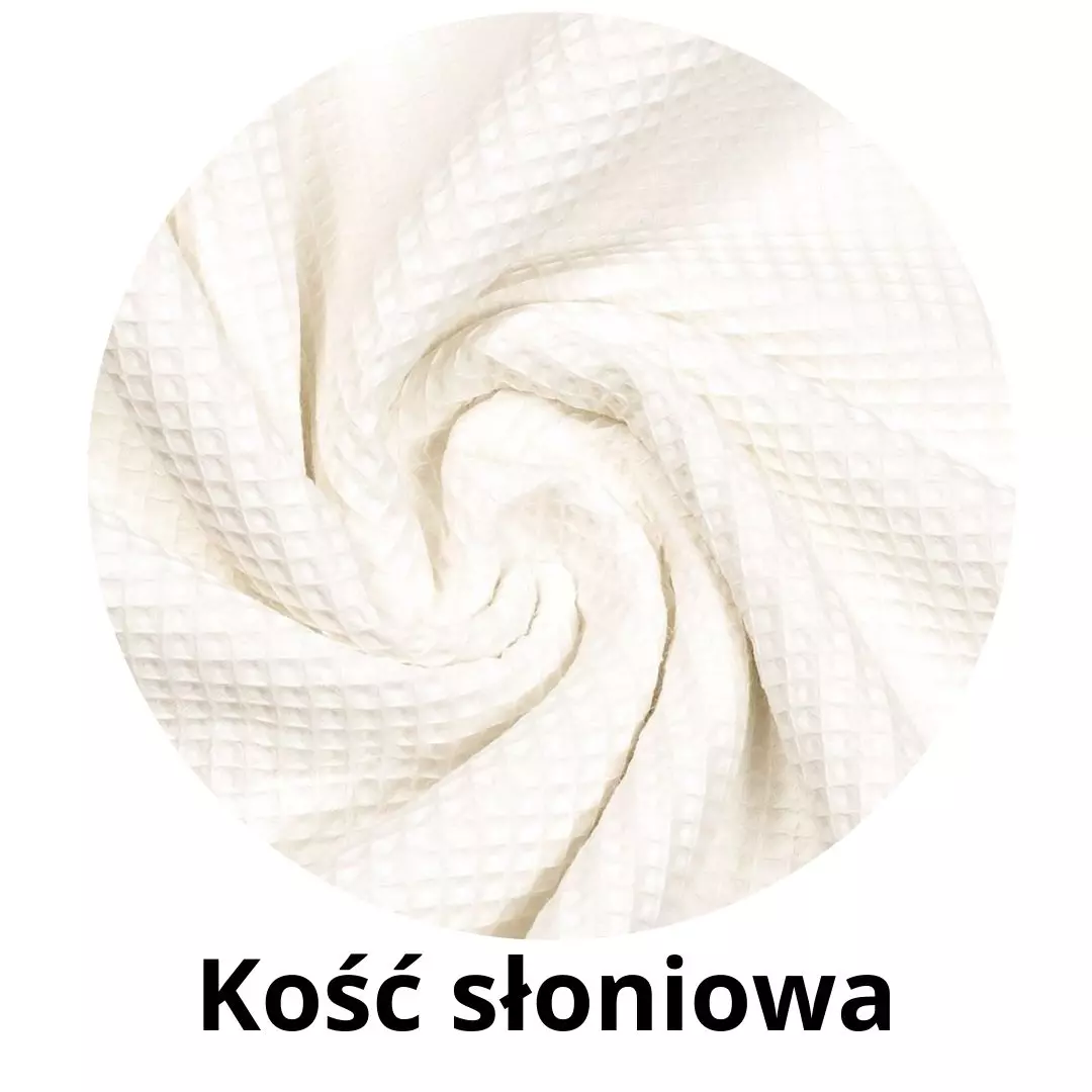 Kość słoniowa